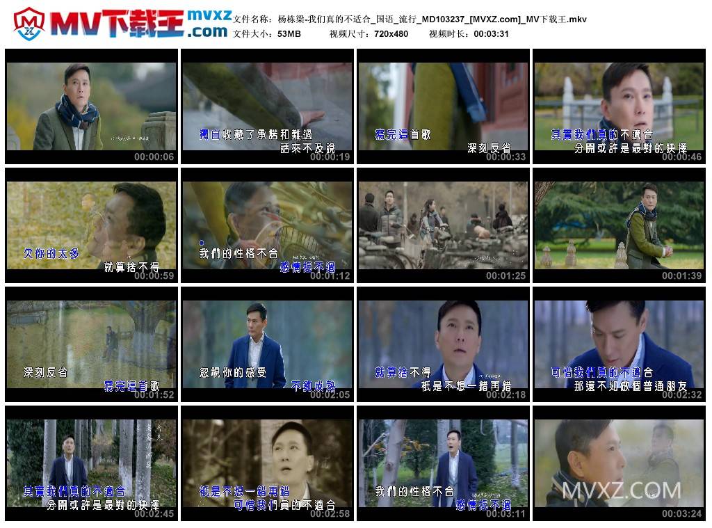 杨栋梁-我们真的不适合_国语_流行_MD103237